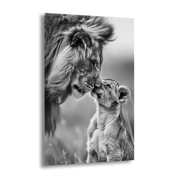 King and Prince