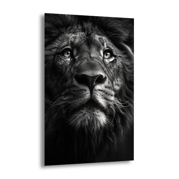 The Silent King