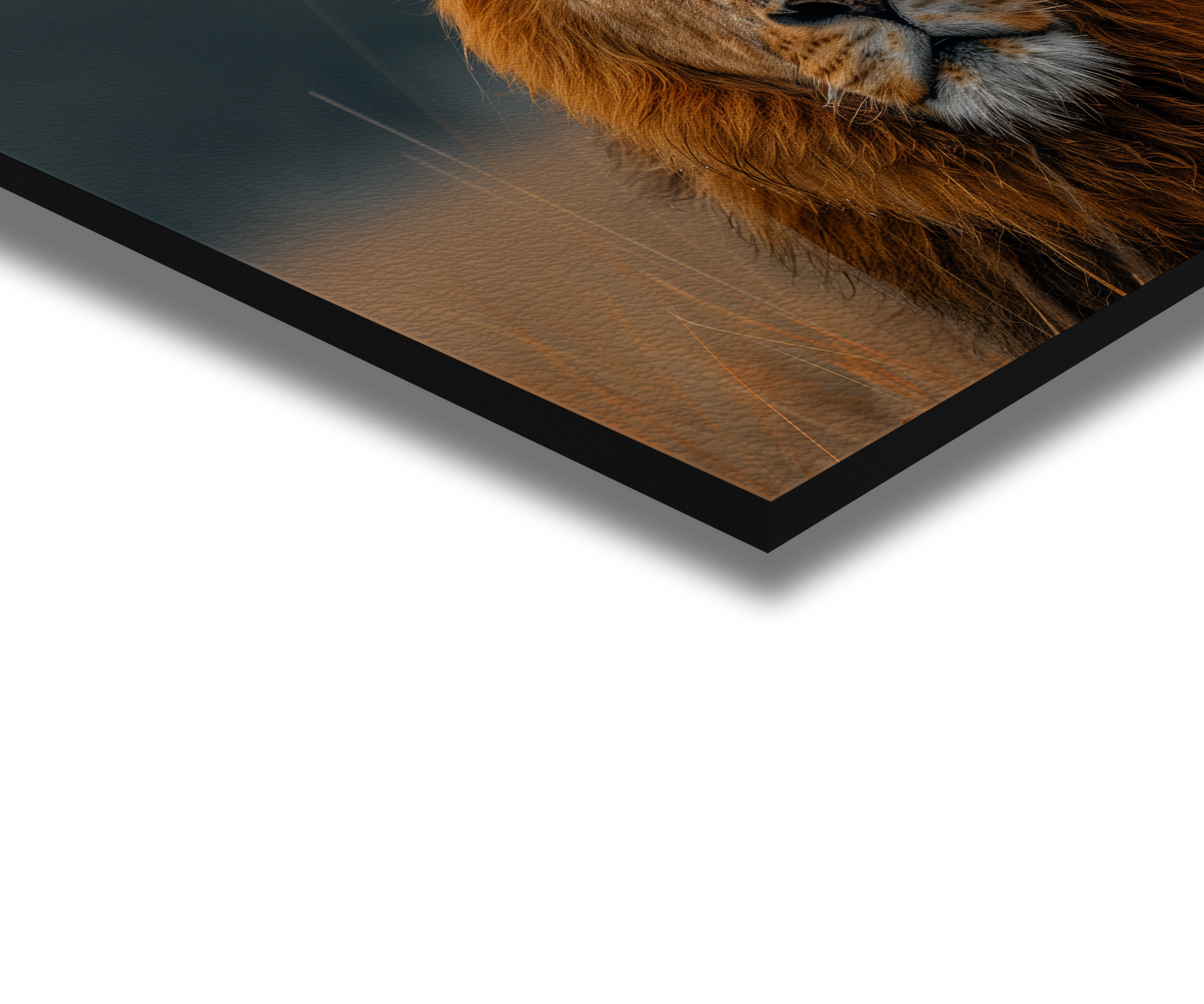 Lion’s Domain